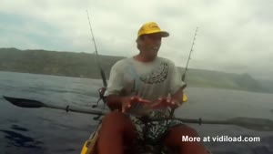 Shark Stealing Fishermans Bait