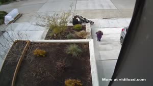 Man Uses Toddler As Thief