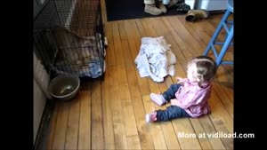 Baby And Goat Have An Interesting Conversation