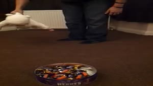 Mission Impossible: Misson Candy