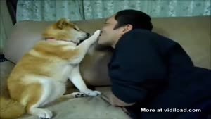 Dog Does Not Want A Kiss