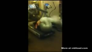 Yoga Ball VS Tread Mill