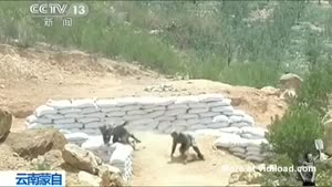 Female Soldier Fails At Throwing Grenade