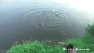 Too Close To Crocodiles