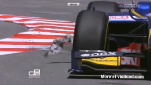 Bird Nearly Gets Hit By Race Car