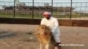 Arab Ride Lion Like Horse