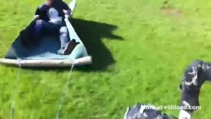 'Magic' Carpet Ride