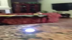 Dog Vs Helicopter