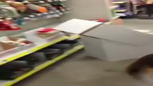 Unsuspected Thief At The Dollar Store