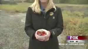 Reporter Curses On Live TV