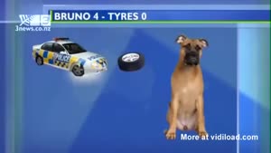This Must Be The Worst News Graphic Ever