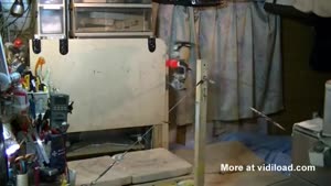 Gymnast Robot