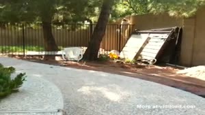 Parkour Goat
