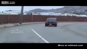 Man Saves Mole From Crow