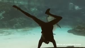 Girl Entertains Dolphin
