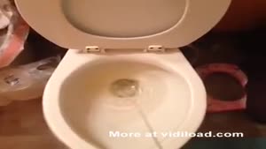 This Guy Is Busy