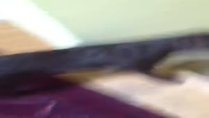 Puppy's Strange Way Of Getting Down The Stairs