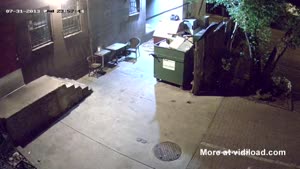 Bear Taking Care Of Dinner