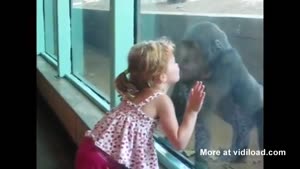 Monkey And Little Girl Are BFF's