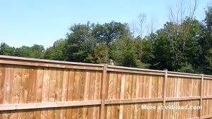 Filming Man Gets Surprise