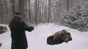 How To Put A Bear To Sleep