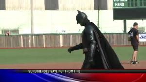 Batman Saves Cat From Burning House