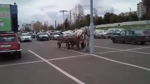 Parking Horse And Carriage