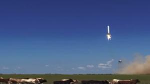 Cows Freaked Out By Rocket Launch