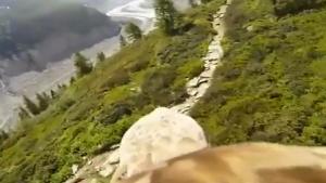 Flying Eagle POV
