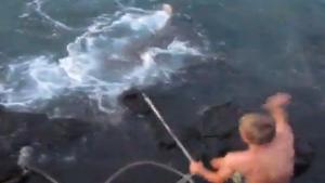 Stupid Kids Catch Big Tiger Shark