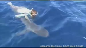 Fisherman Saves Shark