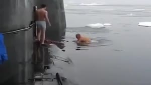 Russians Swim In Ice Cold Water