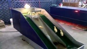 Ducklings Water Slide