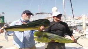 Fishermen Loses His Trophy Fish