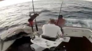 Fish Jumps Into Boat