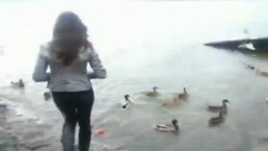 Girlfriend Feeding The Ducks...