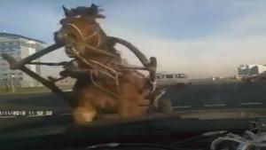 Horse Crashes Into Car