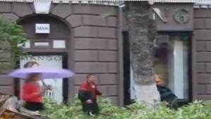 Tree Almost Falls On Woman Passing By