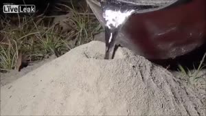 Making Art Out Of An Anthill With Molten Aluminium