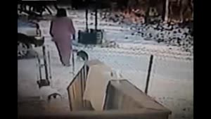 Vicious Cat Attack Caught On Video