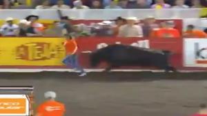 Woman Thrown In The Air By Bull