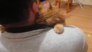 Cat Gives The Best Hug Ever