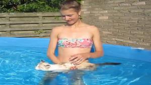 Cat In The Swimming Pool