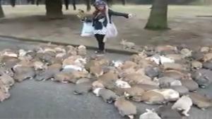 Hundreds Of Rabbits Go After Woman