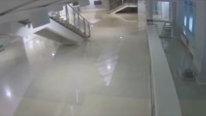 Cat Escapes Through Ceiling