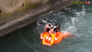 Cat Rescued After Boat Accident