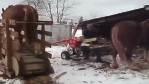 One Horsepower Chainsaw