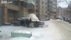 Bear Does Not Fit In Car