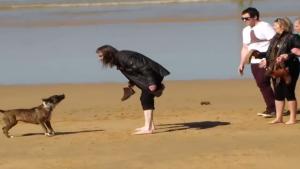Dog Attacks People On The Beach