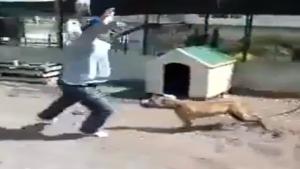 Poor Dog Gets Revenge